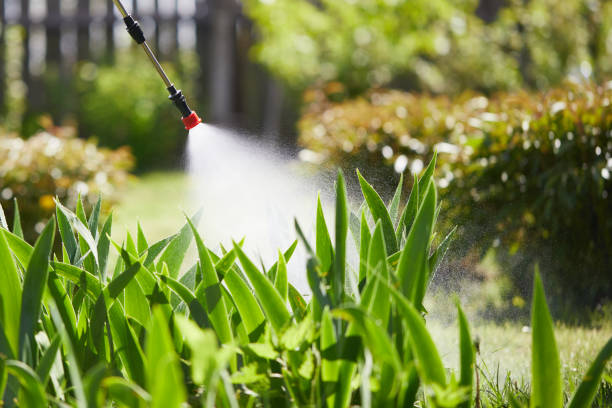 24/7 Emergency Rodent Control experts in Geistown, PA